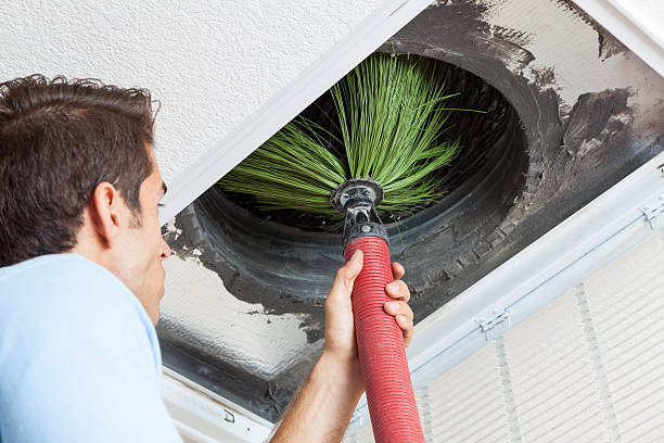 Air Duct Mold Removal in Lincoln Park, MI